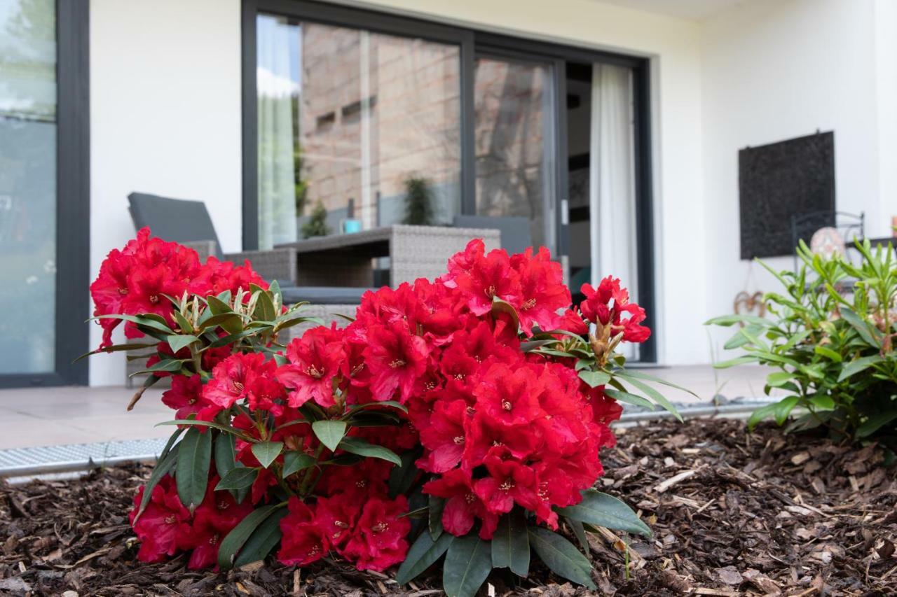 Ferienappartement Hennen كونز المظهر الخارجي الصورة